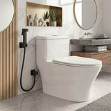 Aquaperla Brass Square Toilet Bidet Spray Kit with 1.2m Stainless Steel Hose - Variant Colour Available