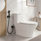 Aquaperla Brass Square Toilet Bidet Spray Kit with 1.2m Stainless Steel Hose - Variant Colour Available