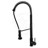 Black Spring 360° Swivel Pull Out Kitchen Sink Mixer Tap Brass Mixers