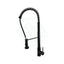 Black Spring 360° Swivel Pull Out Kitchen Sink Mixer Tap Brass Mixers