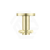 Bella Vista Mica 50mm Round Double Robe Hook Stainless Steel Variant Colour Available