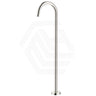 Bella Vista Mica Freestanding Gooseneck Bath Spout Variant Colour Available