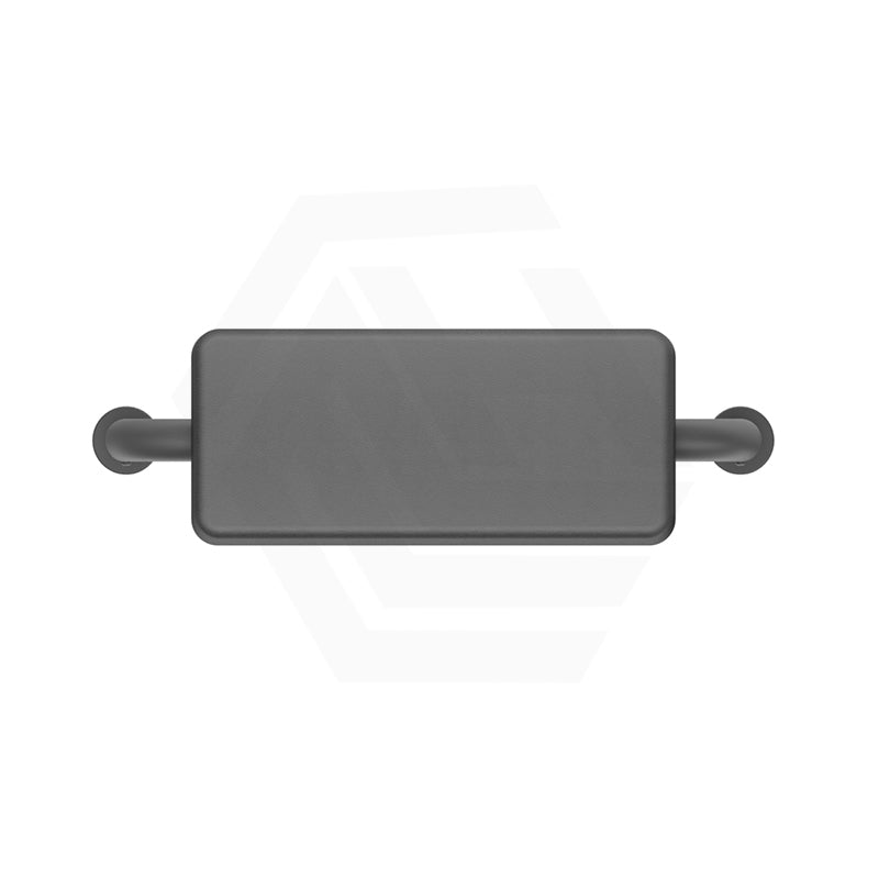 Bella Vista Mica Care Stainless Steel DDA Backrest For Accessible Toilet Variant Color Available