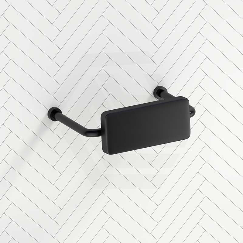 Bella Vista Mica Care Stainless Steel DDA Backrest For Accessible Toilet Variant Color Available