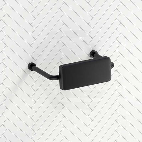Bella Vista Mica Care Stainless Steel DDA Backrest For Accessible Toilet Variant Color Available