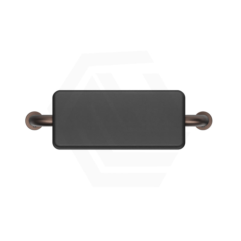 Bella Vista Mica Care Stainless Steel DDA Backrest For Accessible Toilet Variant Color Available