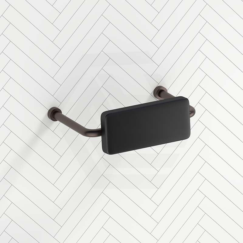 Bella Vista Mica Care Stainless Steel DDA Backrest For Accessible Toilet Variant Color Available