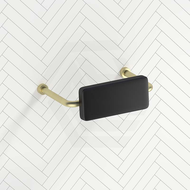 Bella Vista Mica Care Stainless Steel DDA Backrest For Accessible Toilet Variant Color Available