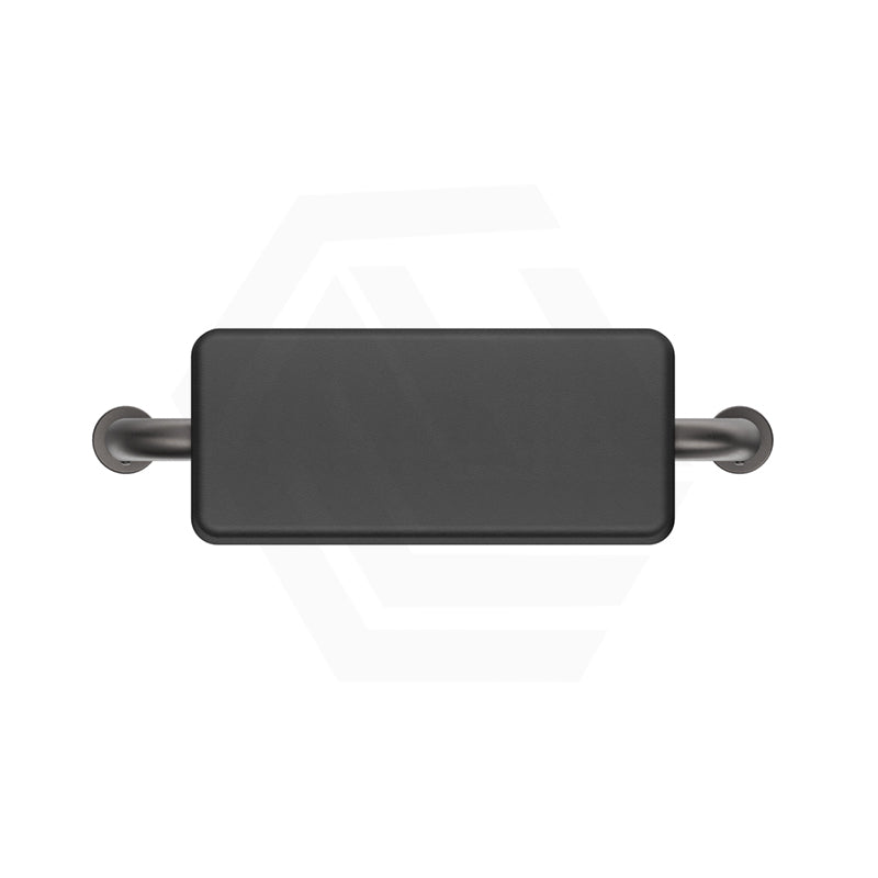 Bella Vista Mica Care Stainless Steel DDA Backrest For Accessible Toilet Variant Color Available