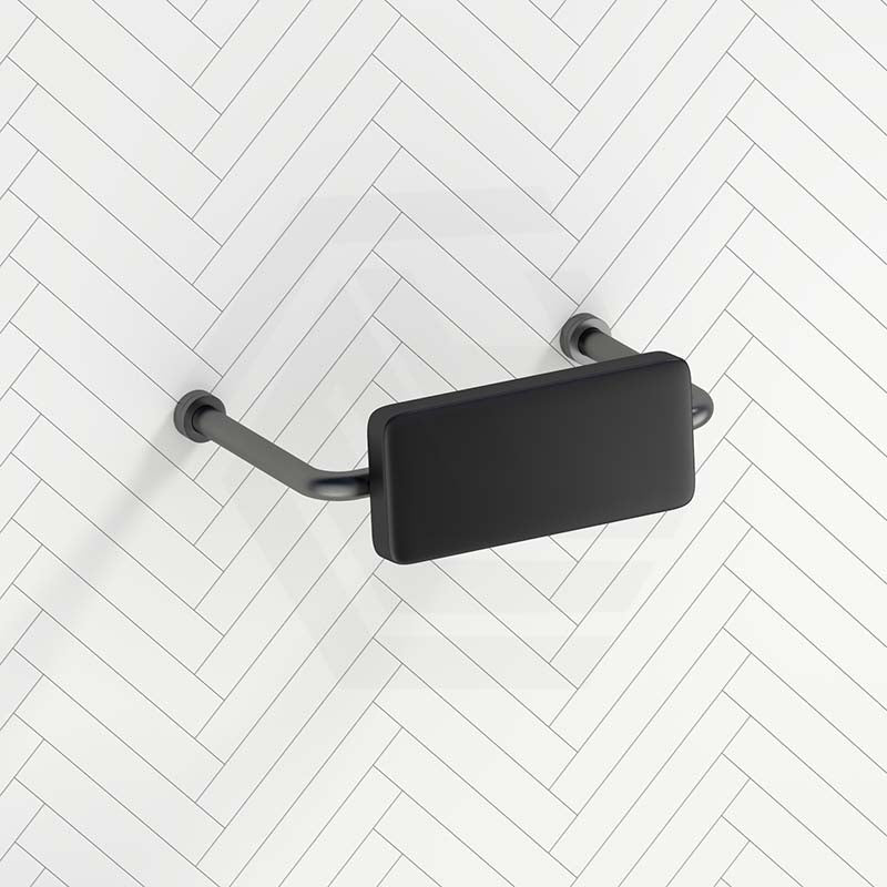 Bella Vista Mica Care Stainless Steel DDA Backrest For Accessible Toilet Variant Color Available