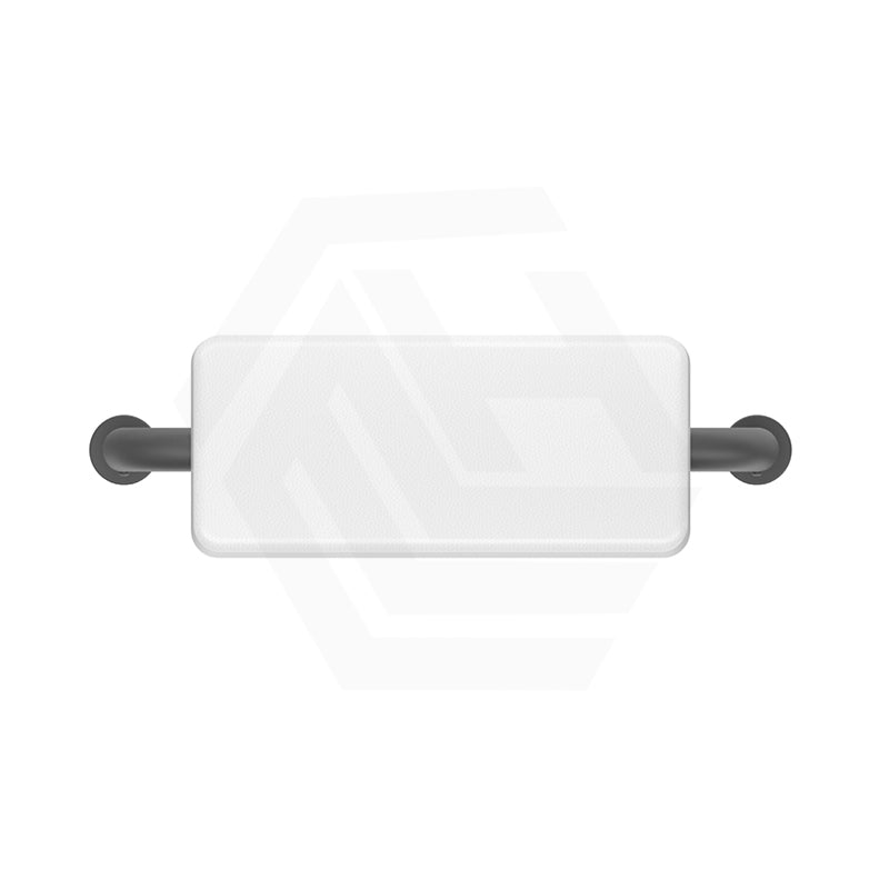 Bella Vista Mica Care Stainless Steel DDA Backrest For Accessible Toilet Variant Color Available