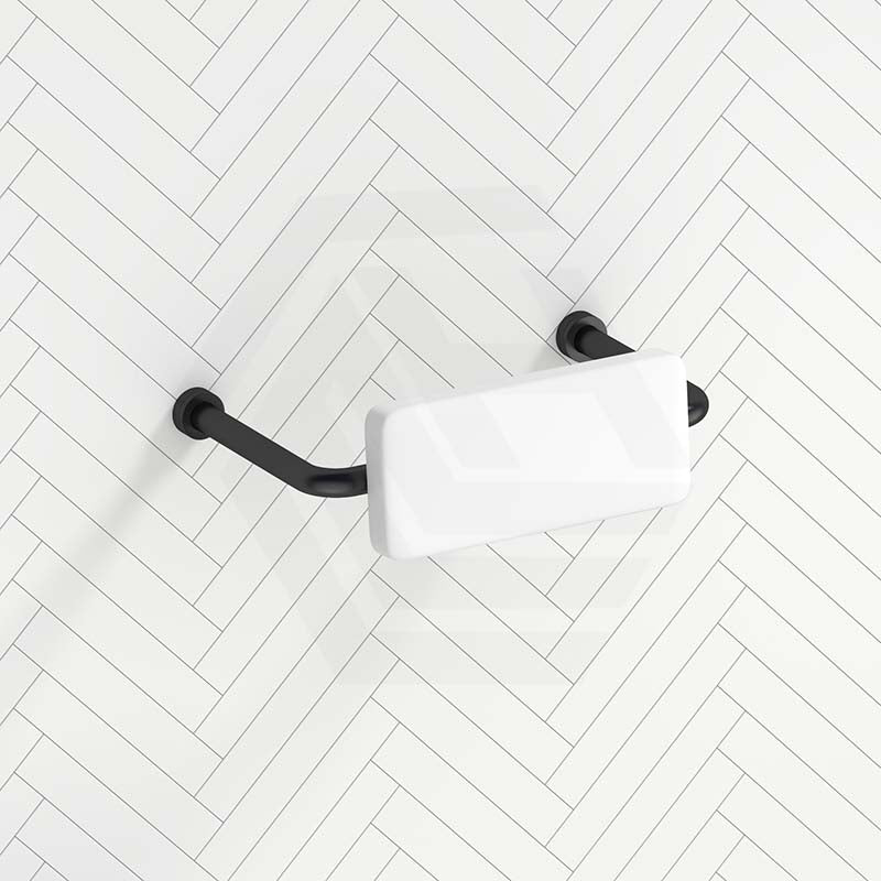 Bella Vista Mica Care Stainless Steel DDA Backrest For Accessible Toilet Variant Color Available