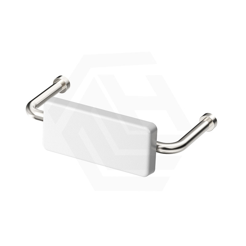 Bella Vista Mica Care Stainless Steel DDA Backrest For Accessible Toilet Variant Color Available