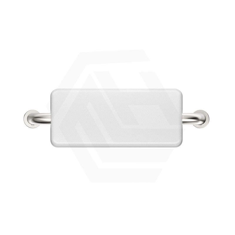 Bella Vista Mica Care Stainless Steel DDA Backrest For Accessible Toilet Variant Color Available
