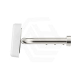 Bella Vista Mica Care Stainless Steel DDA Backrest For Accessible Toilet Variant Color Available