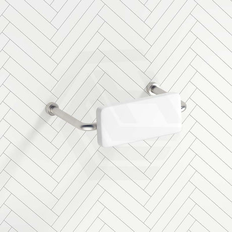 Bella Vista Mica Care Stainless Steel DDA Backrest For Accessible Toilet Variant Color Available