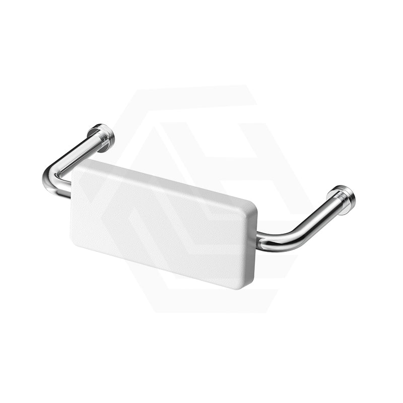 Bella Vista Mica Care Stainless Steel DDA Backrest For Accessible Toilet Variant Color Available