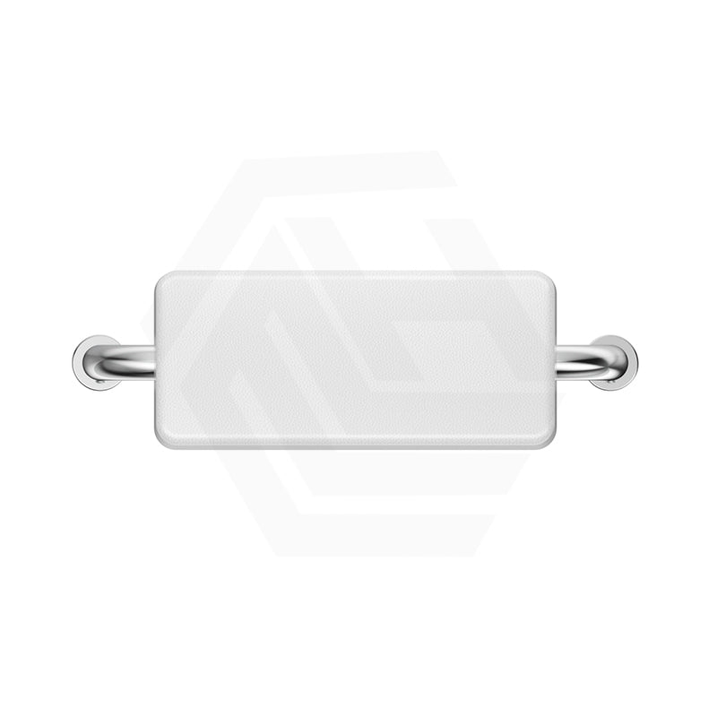 Bella Vista Mica Care Stainless Steel DDA Backrest For Accessible Toilet Variant Color Available