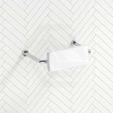 Bella Vista Mica Care Stainless Steel DDA Backrest For Accessible Toilet Variant Color Available