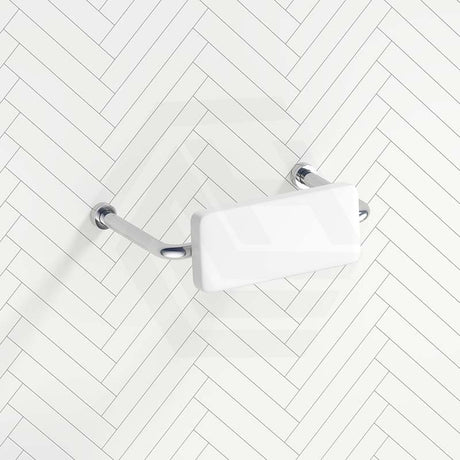 Bella Vista Mica Care Stainless Steel DDA Backrest For Accessible Toilet Variant Color Available
