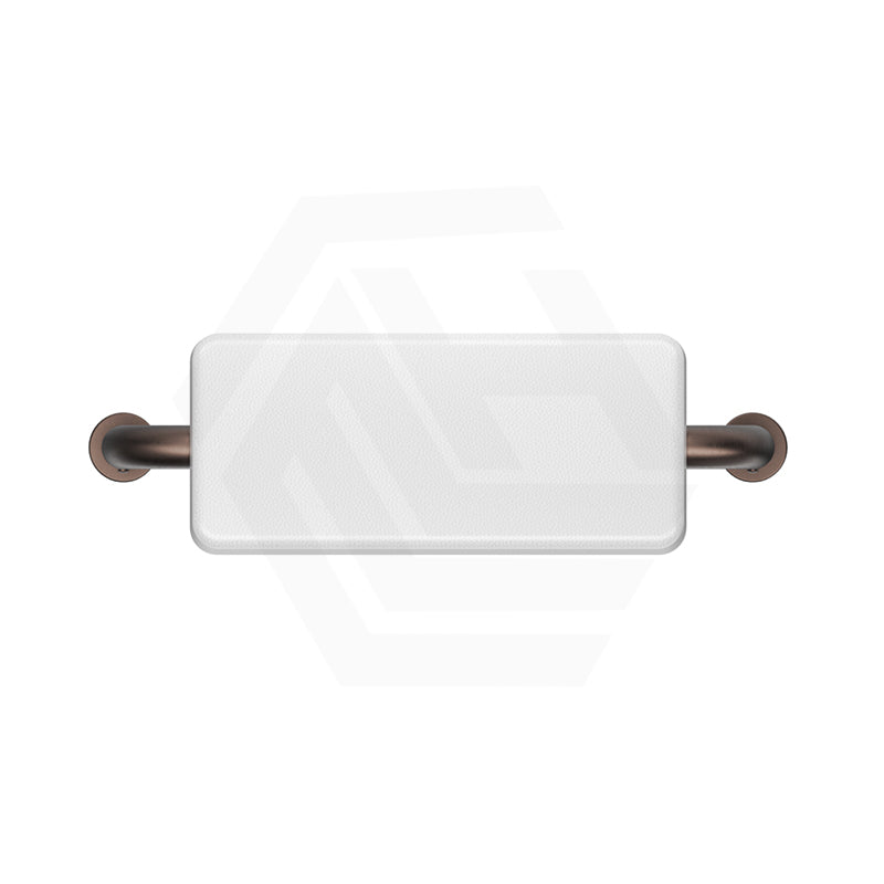 Bella Vista Mica Care Stainless Steel DDA Backrest For Accessible Toilet Variant Color Available
