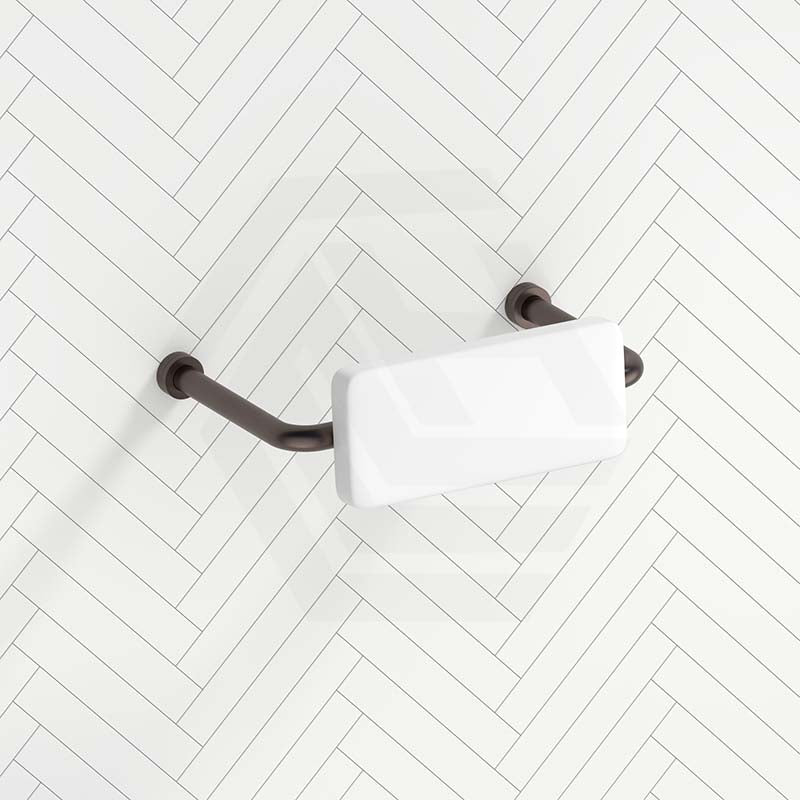 Bella Vista Mica Care Stainless Steel DDA Backrest For Accessible Toilet Variant Color Available