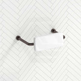 Bella Vista Mica Care Stainless Steel DDA Backrest For Accessible Toilet Variant Color Available