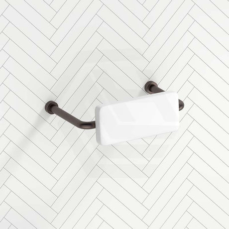 Bella Vista Mica Care Stainless Steel DDA Backrest For Accessible Toilet Variant Color Available