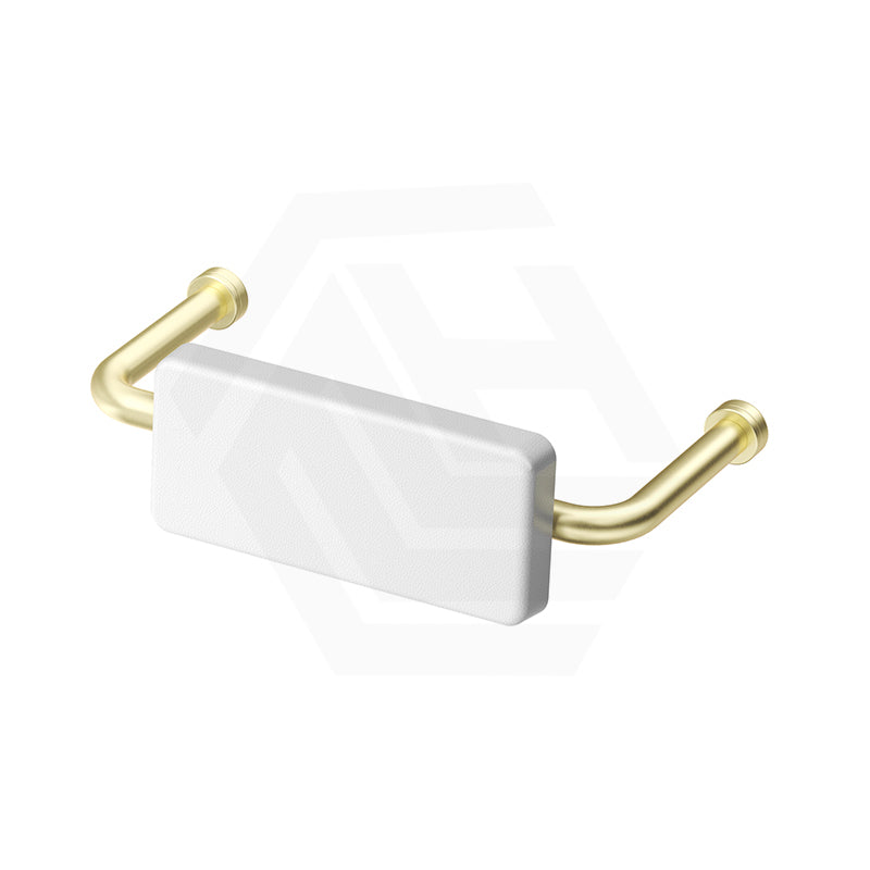Bella Vista Mica Care Stainless Steel DDA Backrest For Accessible Toilet Variant Color Available