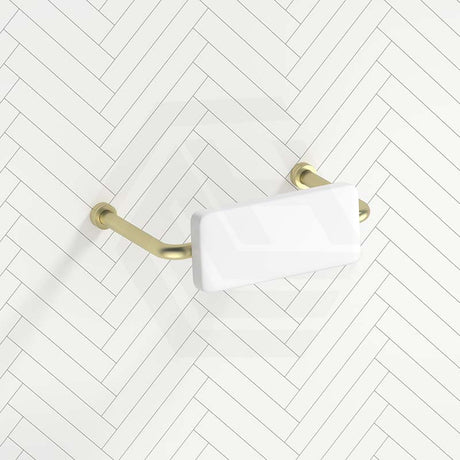 Bella Vista Mica Care Stainless Steel DDA Backrest For Accessible Toilet Variant Color Available