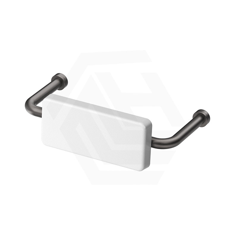 Bella Vista Mica Care Stainless Steel DDA Backrest For Accessible Toilet Variant Color Available