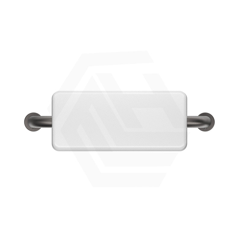 Bella Vista Mica Care Stainless Steel DDA Backrest For Accessible Toilet Variant Color Available
