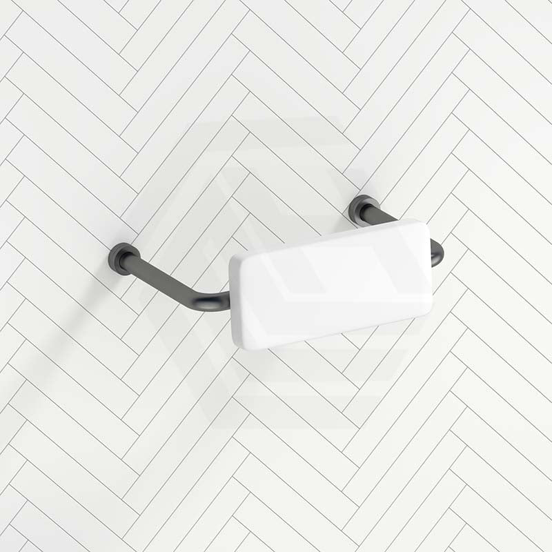 Bella Vista Mica Care Stainless Steel DDA Backrest For Accessible Toilet Variant Color Available