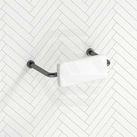 Bella Vista Mica Care Stainless Steel DDA Backrest For Accessible Toilet Variant Color Available