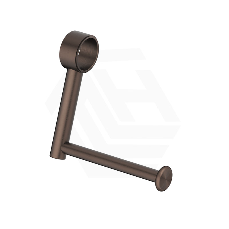 Bella Vista Mica Care Addon Stainless Steel Toilet Paper Holder for Grab Rail Variant Color Available