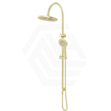 Bella Vista Mica Gooseneck Round Twin Rail Shower Set Variant Colors Available