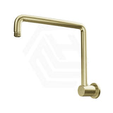 Bella Vista Mica Gooseneck 350mm Stainless Steel Shower Arm Only Variant Colors Available