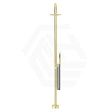 Bella Vista Mica 316 Stainless Steel Gooseneck Freestanding Outdoor Shower Set Variant Color Available