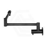Bella Vista Mica Wall Mounted Kitchen Pot Filler Tap with Dual Swing Arm Stainless Steel Variant Color Available