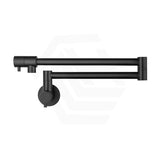 Bella Vista Mica Wall Mounted Kitchen Pot Filler Tap with Dual Swing Arm Stainless Steel Variant Color Available