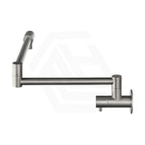 Bella Vista Mica Wall Mounted Kitchen Pot Filler Tap with Dual Swing Arm Stainless Steel Variant Color Available