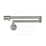 Bella Vista Mica Wall Mounted Kitchen Pot Filler Tap with Dual Swing Arm Stainless Steel Variant Color Available