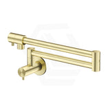 Bella Vista Mica Wall Mounted Kitchen Pot Filler Tap with Dual Swing Arm Stainless Steel Variant Color Available