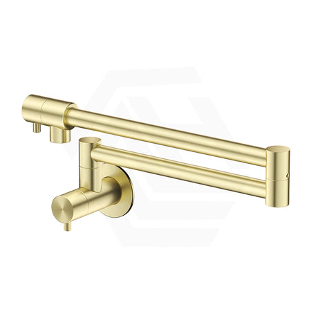 Bella Vista Mica Wall Mounted Kitchen Pot Filler Tap with Dual Swing Arm Stainless Steel Variant Color Available