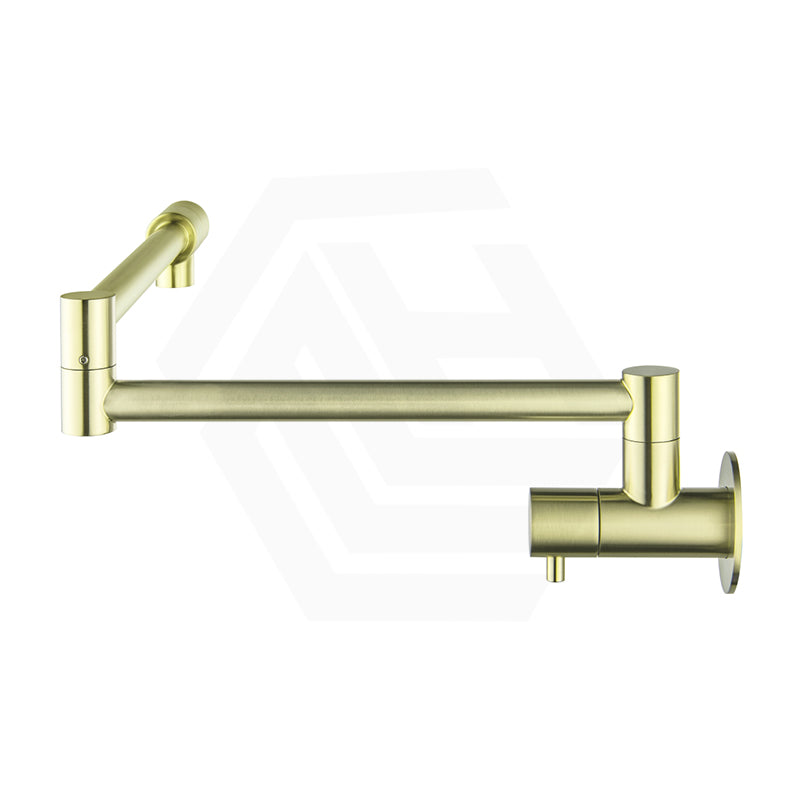 Bella Vista Mica Wall Mounted Kitchen Pot Filler Tap with Dual Swing Arm Stainless Steel Variant Color Available
