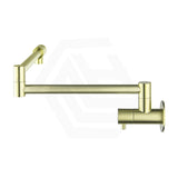 Bella Vista Mica Wall Mounted Kitchen Pot Filler Tap with Dual Swing Arm Stainless Steel Variant Color Available