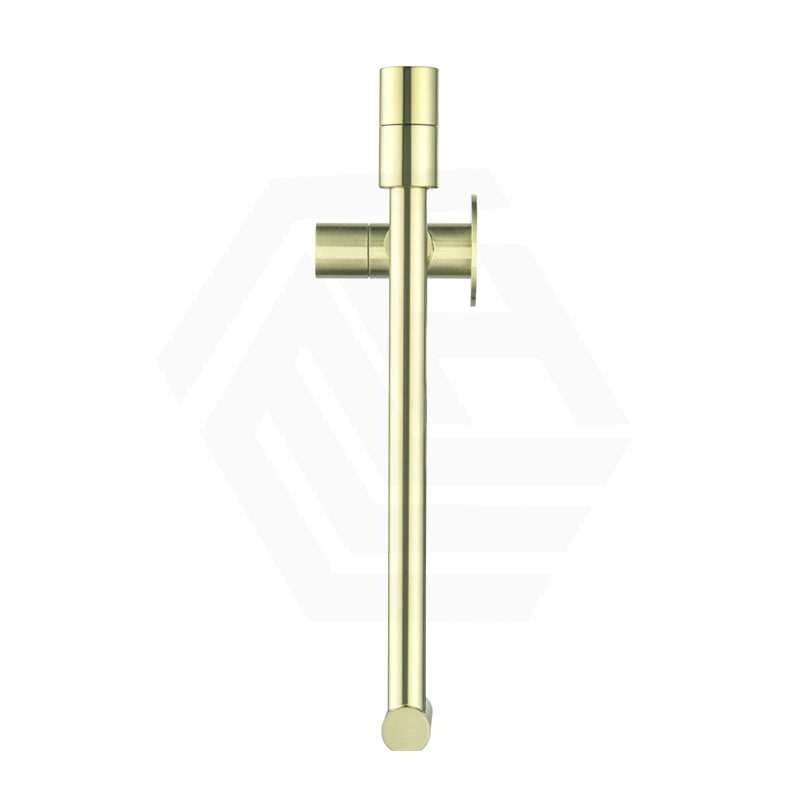 Bella Vista Mica Wall Mounted Kitchen Pot Filler Tap with Dual Swing Arm Stainless Steel Variant Color Available
