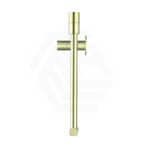 Bella Vista Mica Wall Mounted Kitchen Pot Filler Tap with Dual Swing Arm Stainless Steel Variant Color Available