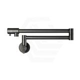 Bella Vista Mica Wall Mounted Kitchen Pot Filler Tap with Dual Swing Arm Stainless Steel Variant Color Available