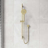 Bella Vista Mica Round Shower Rail with 3 Functions Handheld Shower Set Variant Colors Available